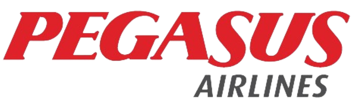 GoYoung - Genç Yetenek Programı | Pegasus İşe Alım